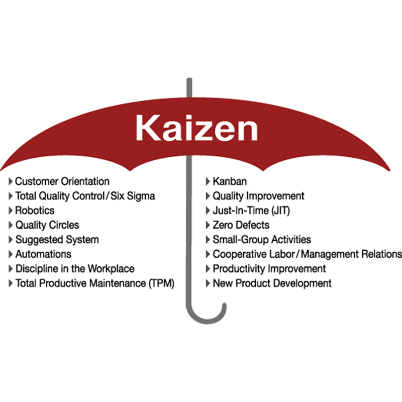 Efficient Production Requires Such a Lean Production Line! (I)